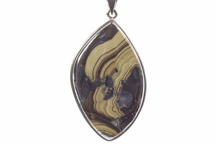 Polished Schalenblende Pendant (Necklace) - Sterling Silver #241259